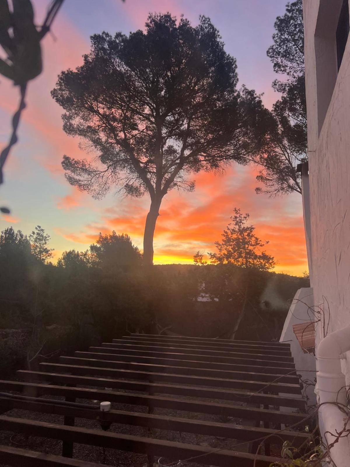 Willa Spacious & Luxury In Ibiza - Santa Gertrudis - Chiquita *